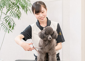 先輩からのメッセージ