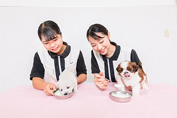 産室飼育管理実習（仔犬のお世話）