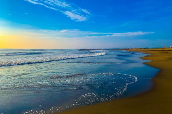 首都圏にありながら、豊かな自然環境!