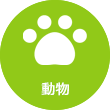 動物