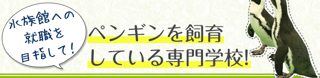 ペンギンを飼育している専門学校!